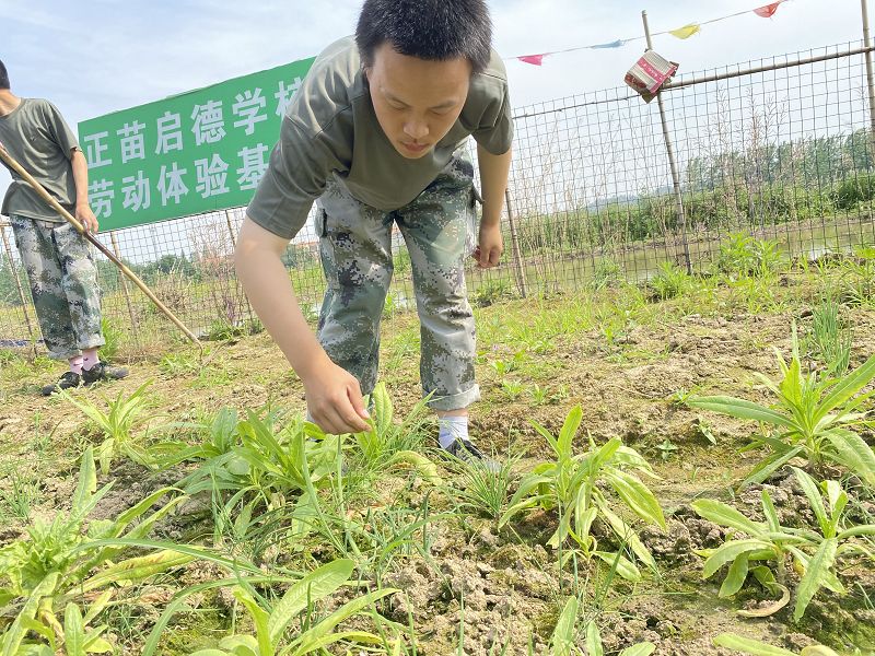 不當的家庭教育會導致青少年心理脆弱嗎？(圖1)