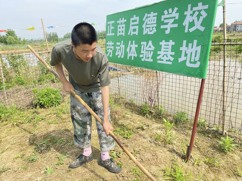 叛逆孩子封閉式學(xué)校是什么樣的？叛逆孩子怎么調(diào)教？(圖2)