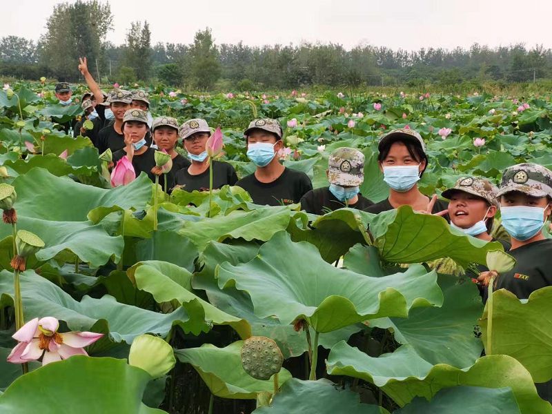 戒掉手機(jī)癮的方法，兩會(huì)怎么說？