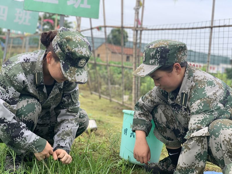 孩子叛逆厭學怎么辦？家長老師要通力合作這